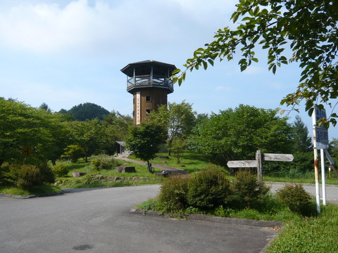 P1010884