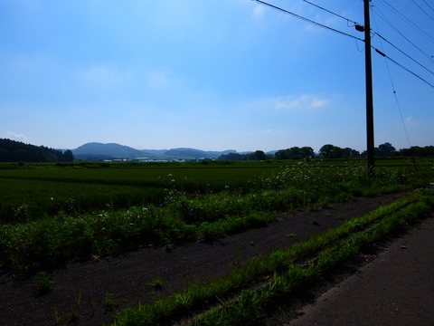 DSCF3413