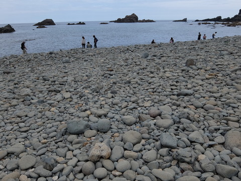 DSCF4655