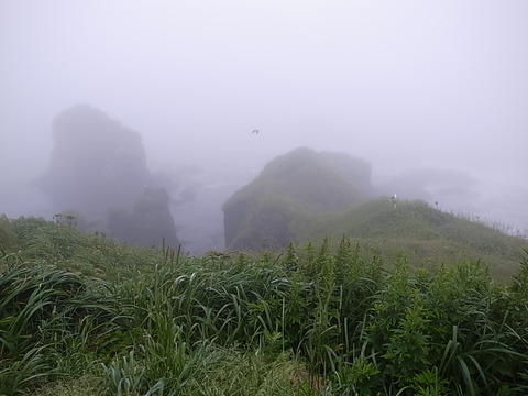 R0011307