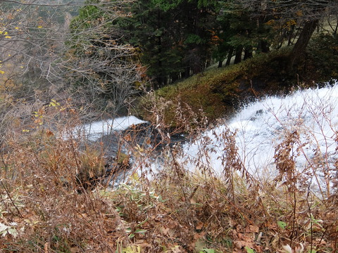 DSCF1980