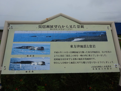 DSC00783
