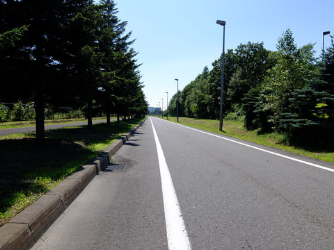 DSCF3461