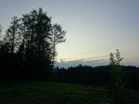 DSC00448