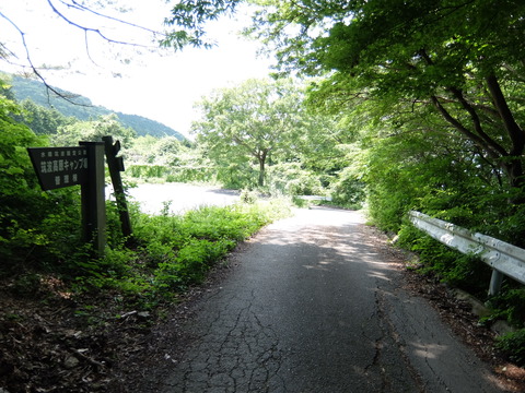 DSCF5645