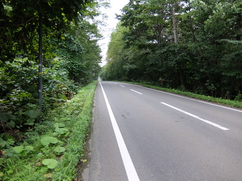 DSCF1067
