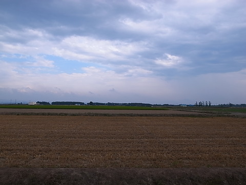 R0012208