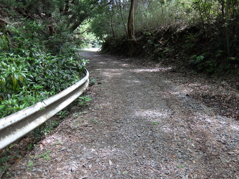 DSCF5606