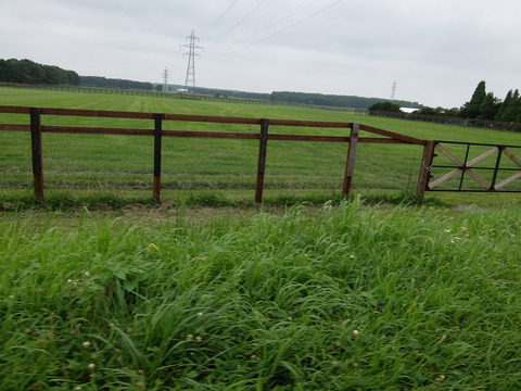DSCF5130