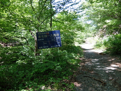 DSCF1804