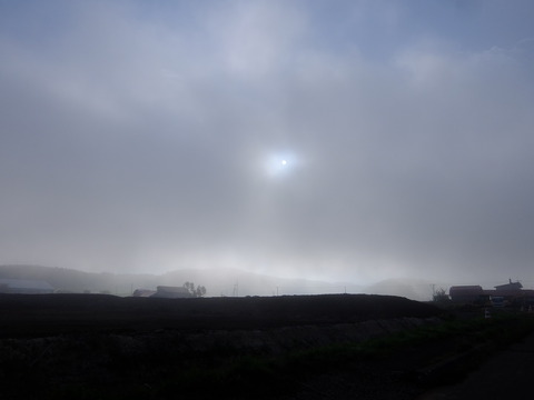 DSCF3247