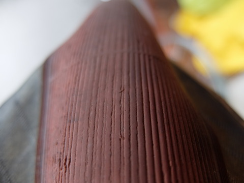 DSCF3925