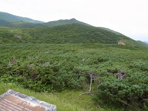 R0011404