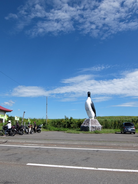 DSCF7009