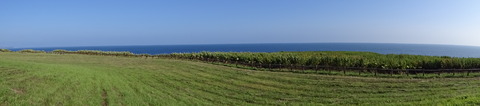 DSC00386