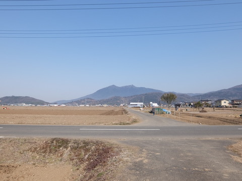DSCF6247