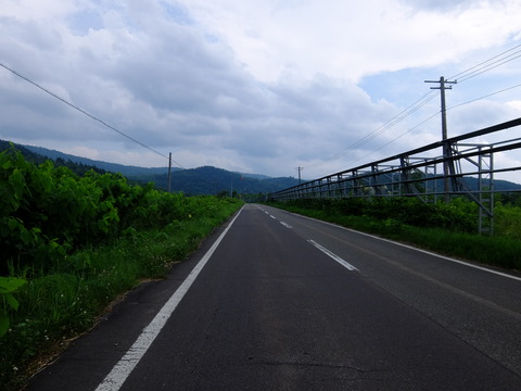 DSCF2895
