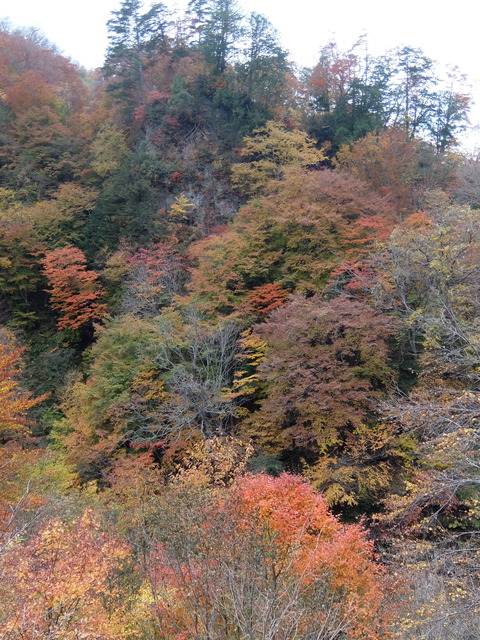 DSCF2034