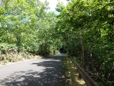 DSCF5020