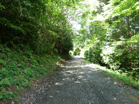 DSCF5641