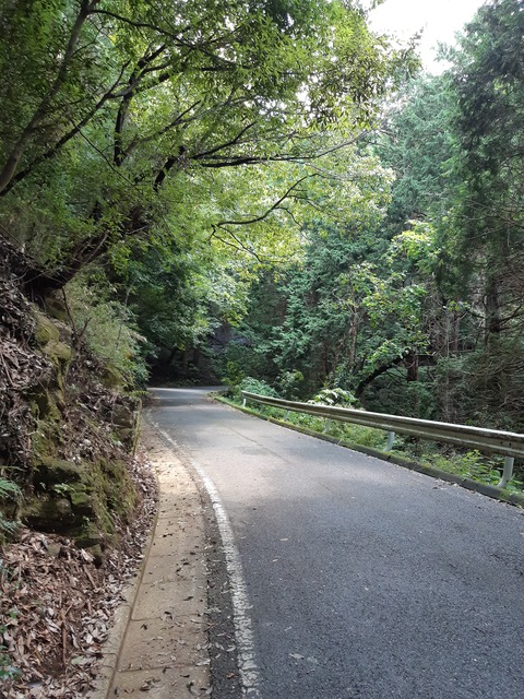 20190825_112556