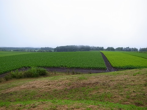R0011867