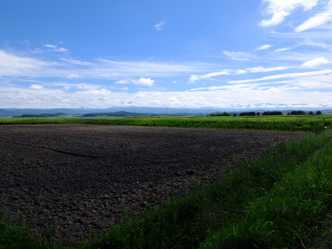 DSCF3114