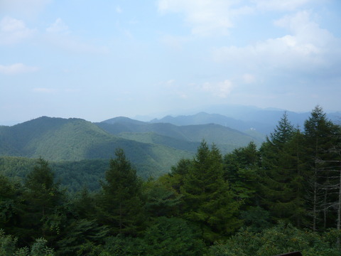 P1010889