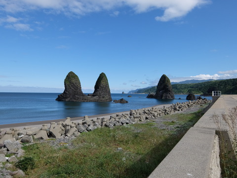 DSCF4230