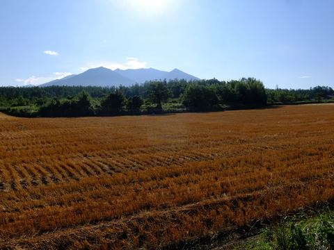 DSCF3270