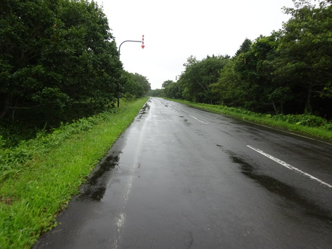 DSC00804