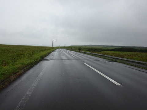 DSC00799