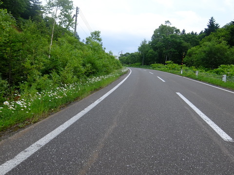 DSCF2882