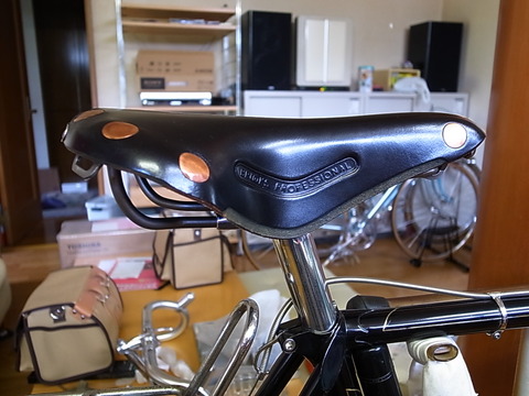 Saddle12
