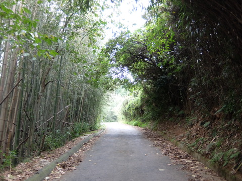 DSCF6234
