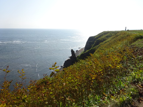DSC00385