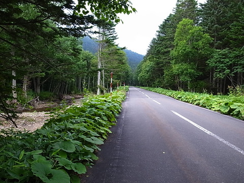 R0012024