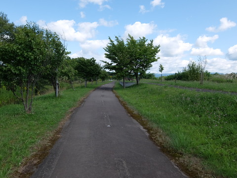 DSCF7542