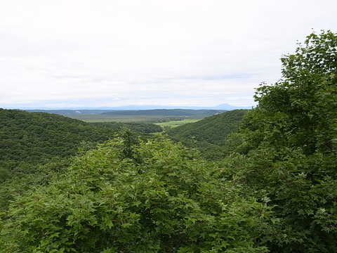 R0011470