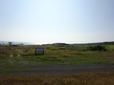 DSC00389