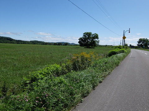 DSCF7189