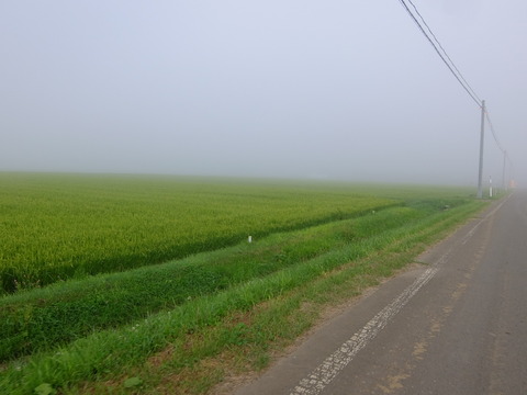 DSCF3248