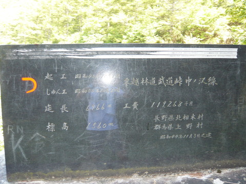 P1010855
