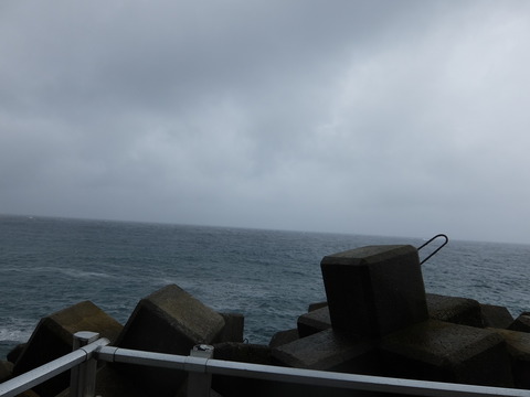 DSCF4008