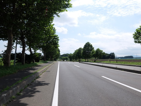 DSCF7677