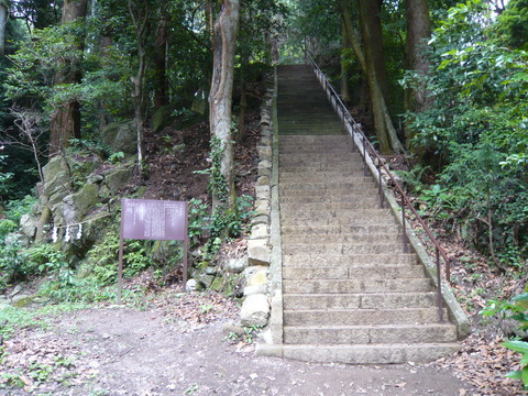 P1020109