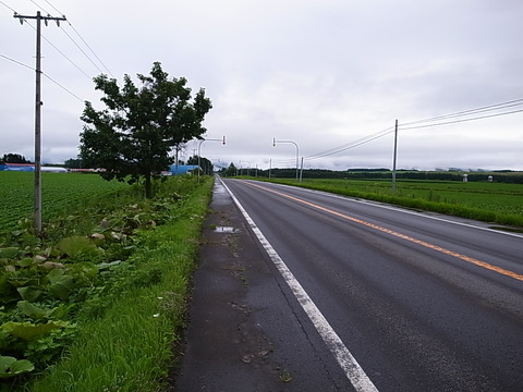 R0011875