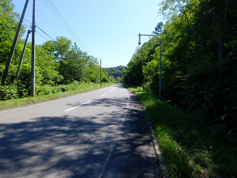 DSCF3365