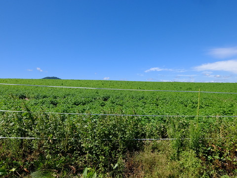 DSCF3183