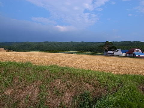 R0012088